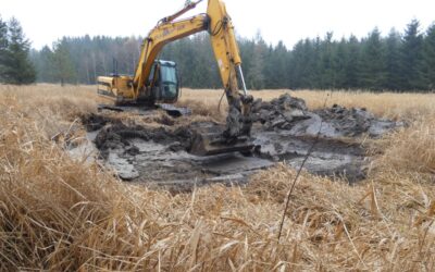 Podpora biodiverzity mokřadních lokalit prostřednictvím pozemkových spolků – Lokalita „Čtyřicítka“