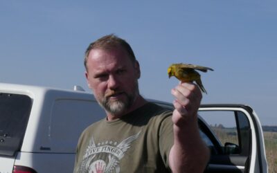 Ukázka kroužkování ptáků